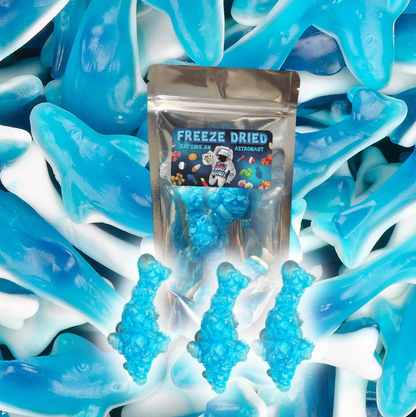 Gefriergetrocknete Süßigkeiten Haie | Freeze Dried Candy