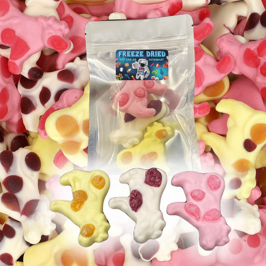 Gefriergetrocknete Süßigkeiten Milchkühe | Freeze Dried Candy